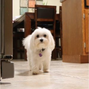 Meet your Posher, Terri